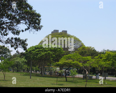 Federal Bank versteckt durch die wachsende Baum im Dschungel mit wilden Bäumen in Brasilia-BR Stockfoto