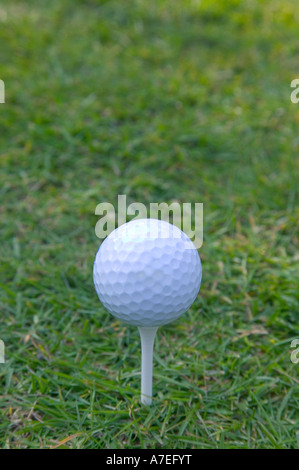 Golfball auf weißen hölzernen t-Shirt Platz oben für Kopie Stockfoto