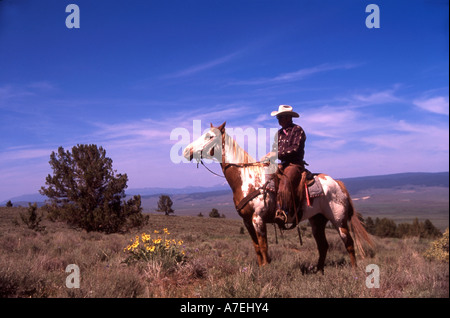 Ein Cowboy und sein Pferd auf einem Berg mit Blick auf ein Tal im Westen der Vereinigten Staaten Stockfoto