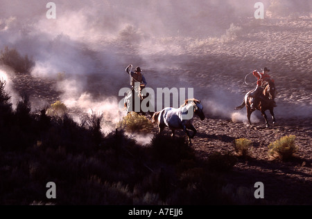 Zwei Cowboys Aufrundung ein Pferd auf einer Ranch in Zentral-Oregon-USA Stockfoto