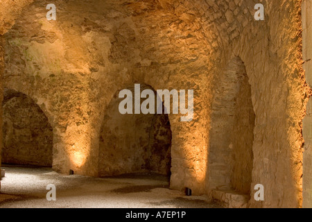 Burgruine Borgholm Stockfoto