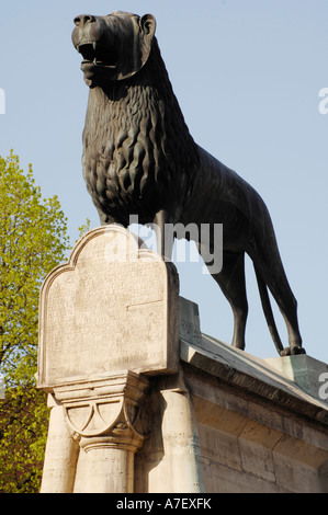 Löwe, das Wappentier von Braunschweig, Niedersachsen, Deutschland Stockfoto