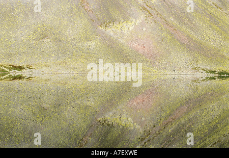 See Reflexionen Stockfoto