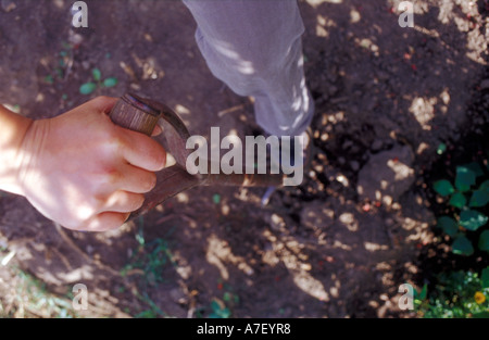 Digging the ground with a gardening fork Stockfoto