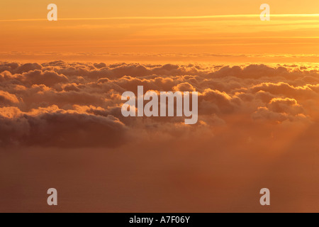 Sunrise angesehen von der Berg Achada Do Teixeira (1592m), Madeira, Portugal Stockfoto