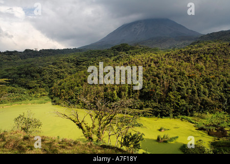 Grüner See in privaten Reservat El Silencio, Vulkan Arenal, Costa Rica Stockfoto