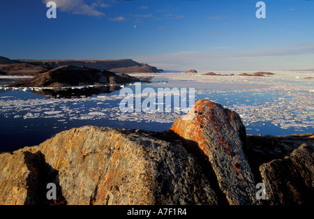 Alexandra Fiord Ellesmere Island kanadischen Arktis Stockfoto