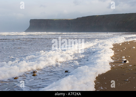 Saltburn Strand und Landzunge bleibt der Phytoplanton, Saltburn, Yorkshire, Großbritannien Stockfoto