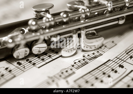 Hölzerne Piccolo zu den Noten Stockfoto