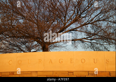 Überlebende Baum Oklahoma City National Memorial in Erinnerung an 19. April 1995 Bombenanschlag auf das Murrah Federal Office Building Stockfoto