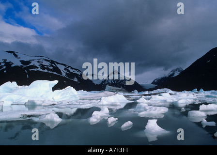 USA Alaska Chugach National Forest Eisberge schwimmen auf Portage Lake in Chugach-Gebirge Stockfoto