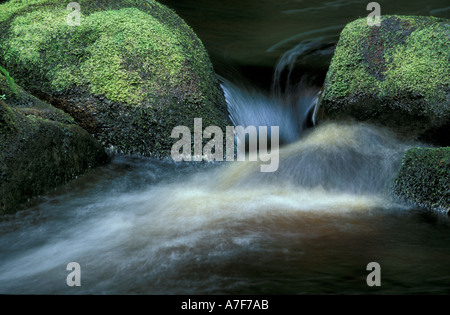 Frische Durchfluss Stockfoto