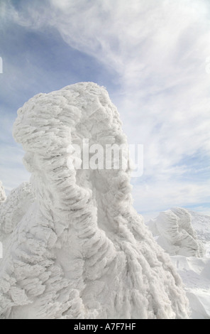 Schnee-Monster - Bäume mit Schnee im Winter Mount Verwaltungssitz Japan auf sie gefroren Stockfoto