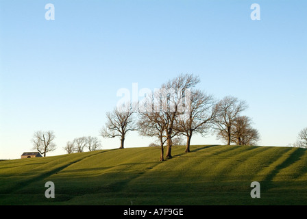 Winterlandschaft in der Nähe von Gargrave, Yorkshire Dales England UK Stockfoto