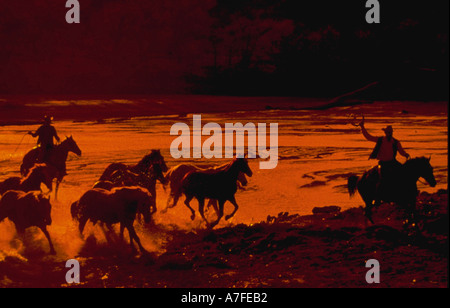 Silhouette der Cowboys auf Pferden Aufrundung Wildpferde im Sonnenuntergang Rio Grande Stockfoto