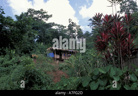 SA, Peru, Madre de Dios, P.N. Manu, Jungle house Stockfoto