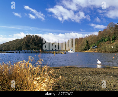 BALMAHA STIRLING SCOTLAND UK Februar Blick auf einige der vielen Inseln in Loch Lomond Stockfoto