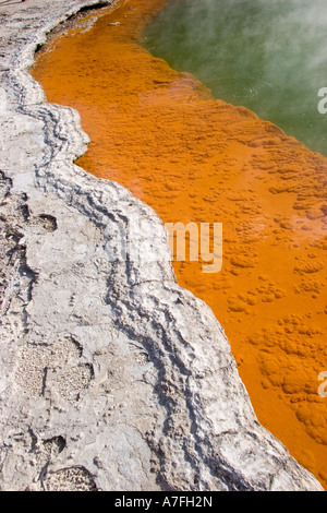 Champagne Pool Thermalbecken Neuseeland Stockfoto