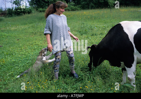 Polen Biobauer Irena Fraszczak mit ihrem Hund und Kuh in der Nähe von Porabka im Gebirge Beskid Maly Stockfoto