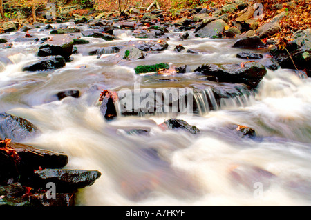 Cedar Creek fließt schnell durch Petit Jean State Park in der Nähe von Morrilton, Arkansas Stockfoto