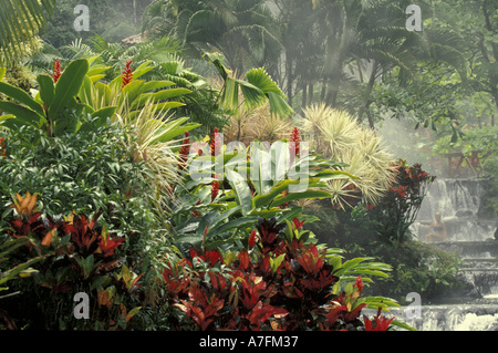 Mittelamerika, Costa Rica, Tabacon Hot Springs in der Nähe von Arenal Vulkan. Frau (Alter: 40 s) (MR) Stockfoto