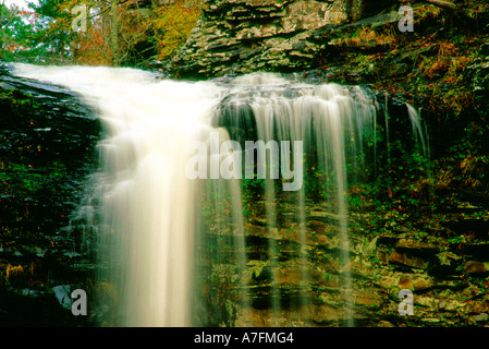 Arkansas' Petit Jean State Park verfügt über Cedar Falls Wasserfall, die Treppe hinunter einen Bluff Schritte, bevor Sie in den Strom fließt Stockfoto