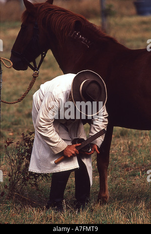 Historisch gekleidete Cowboy Wartungsarbeiten auf seinen Mustangs HUF Stockfoto