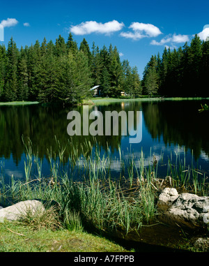 Shiroka polyana Damm See, Rhodopi Berge, Bulgarien, Balkan Stockfoto