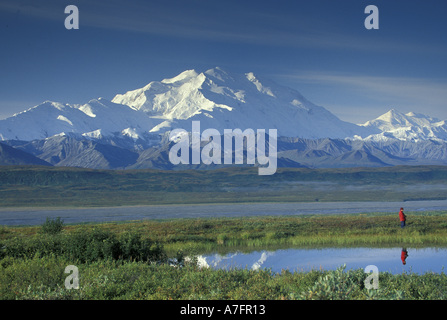 NA, USA, Alaska, Denali NP Mt. McKinley (20.320 Fuß). Ein einsamer Wanderer Stockfoto