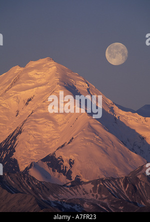 NA, USA, Alaska. Denali-Nationalpark. Mt McKinley (20.320') und Vollmond Stockfoto