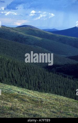 UNS, in der Nähe von AK, weiße Berge, Tundra und borealen Wald auf wechselnden Bergrücken, Kreis Hot Springs Stockfoto