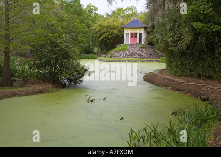 Jungle Gardens Stockfoto