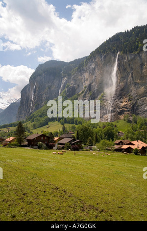 Wildblumen Bäche Flüsse grüne Gras- und Wasserfälle Gnade das Lauterbrunen Tal über Interlaken Schweiz Stockfoto