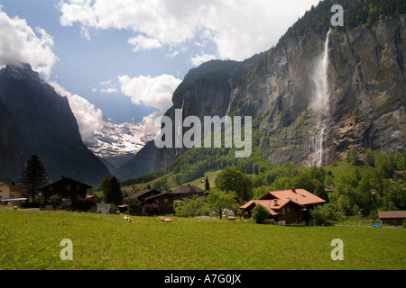 Wildblumen Bäche Flüsse grüne Gras- und Wasserfälle Gnade das Lauterbrunen Tal über Interlaken Schweiz Stockfoto