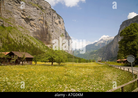 Wildblumen Bäche Flüsse grüne Gras- und Wasserfälle Gnade das Lauterbrunen Tal über Interlaken Schweiz Stockfoto