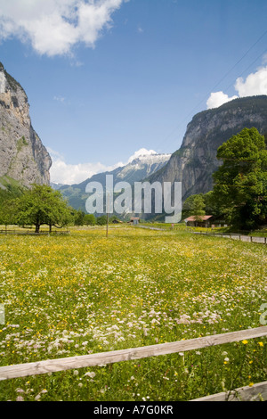 Wildblumen Bäche Flüsse grüne Gras- und Wasserfälle Gnade das Lauterbrunen Tal über Interlaken Schweiz Stockfoto