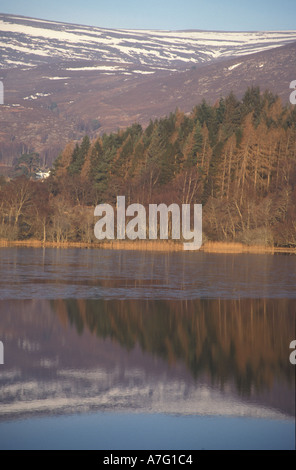 Loch Alvie in der Nähe von Aviemore gesehen im Winter reflektiert der Berge Schottland, Vereinigtes Königreich Stockfoto