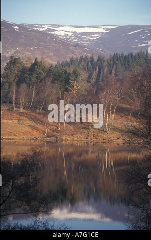 Loch Alvie in der Nähe von Aviemore gesehen im Winter reflektiert der Berge Schottland, Vereinigtes Königreich Stockfoto