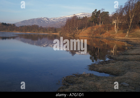 Loch Alvie in der Nähe von Aviemore gesehen im Winter reflektiert der Berge Schottland, Vereinigtes Königreich Stockfoto