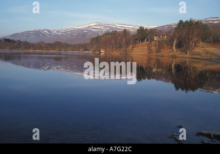 Loch Alvie in der Nähe von Aviemore gesehen im Winter reflektiert der Berge Schottland, Vereinigtes Königreich Stockfoto