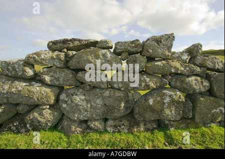 Trockenmauer auf Moorland Nr. Princetown Dartmoor National Park Devon Great Britain Stockfoto