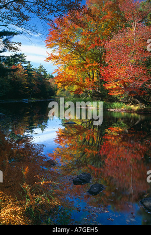 Herbst Mersey River Kejimkujik Nationalpark Nova Scotia Kanada Stockfoto