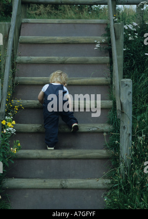 Junge Treppenstufen im Vereinigten Königreich Stockfoto
