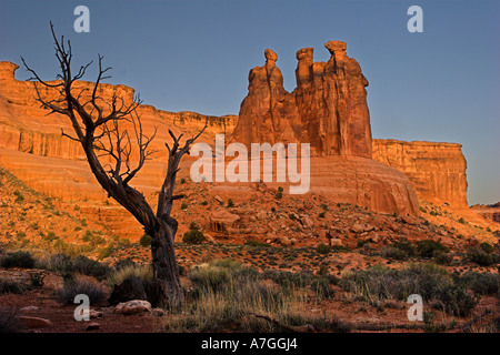 Drei Klatsch rock Formation bei Sonnenaufgang im Arches National Park Utah USA Stockfoto