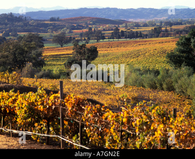 Kalifornien, Alexander Valley, Sonoma County. Blick über Weinberge Valley, Herbst Stockfoto