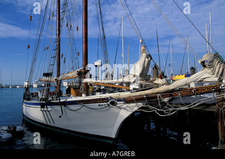 USA, Florida, Florida Keys, Key West, Segelboote im Yachthafen, Mallaury Square. Stockfoto