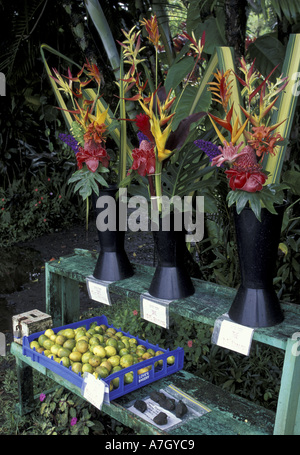 N.a., USA, Hawaii, Maui, Hana, tropischen Blumen zum Verkauf auf Markt Stockfoto