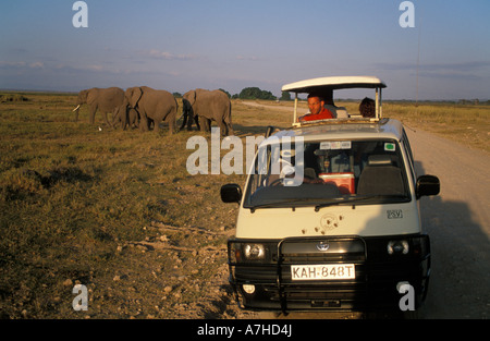 Touristen, die gerade afrikanischer Elefanten, Loxodonta Africana Africana, Amboseli Nationalpark, Kenia Stockfoto