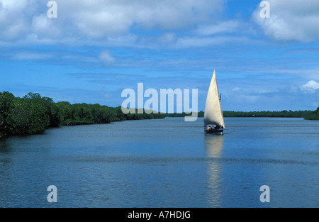 Dhow Segeln durch Makanda Kanal, Lamu-Archipel, Kenia Stockfoto