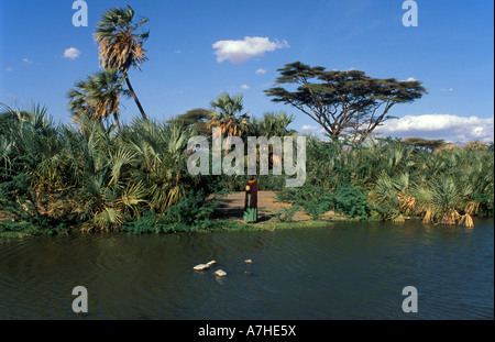 Turkana Frau Wasserholen vom Fluss Loiyangalani am Ufer des Lake Turkana, Kenia Stockfoto